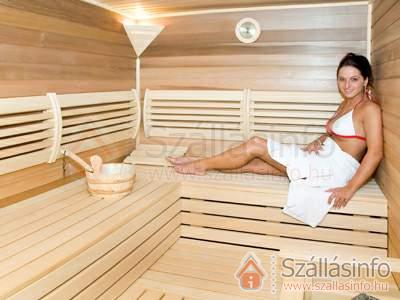 Airport Hotel Budapest**** (Budapest és környéke > Pest megye > Vecsés)