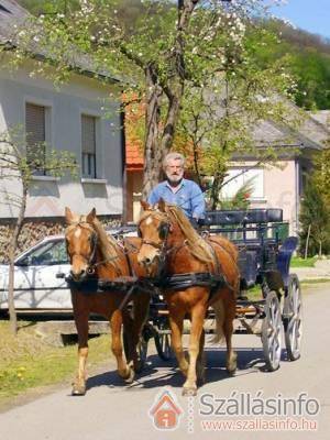 Bakonybél Vendégház (Közép-Dunántúl > Veszprém megye > Bakonybél)
