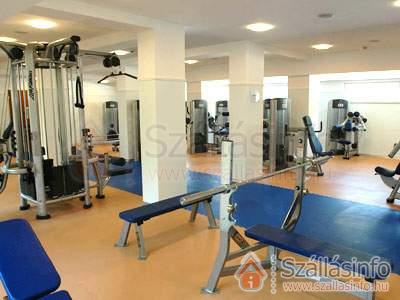 Holiday Beach Budapest Wellness & Conference Hotel (Budapest és környéke > Pest megye > Budapest 03. (III.) kerület)