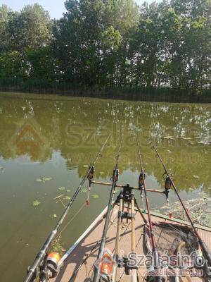 GL Horgászüdülő és Kemping (Dél-Alföld > Bács-Kiskun megye > Szalkszentmárton)
