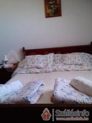 Németh Vendégház (Észak-Alföld > Jász-Nagykun-Szolnok megye > Tiszaföldvár)