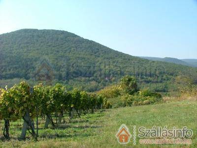Szarvas Panzió (North Hungary > Borsod-Abaúj-Zemplén megye > Erdőbénye)