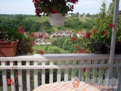 Apartman Szépasszonyvölgy (Nord Ungarn > Heves megye > Eger)