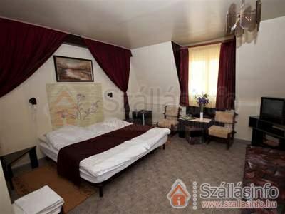 Apartman Hotel Sárvár (West Transdanubien > Vas megye > Sárvár)